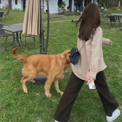 血洒无名街
